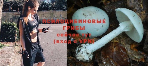 не бодяженный Санкт-Петербург