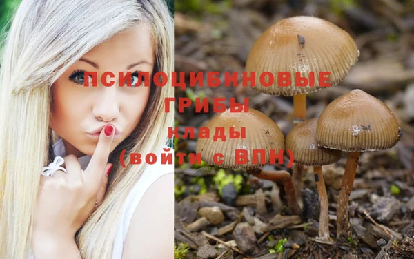 кокаин колумбия Ессентукская