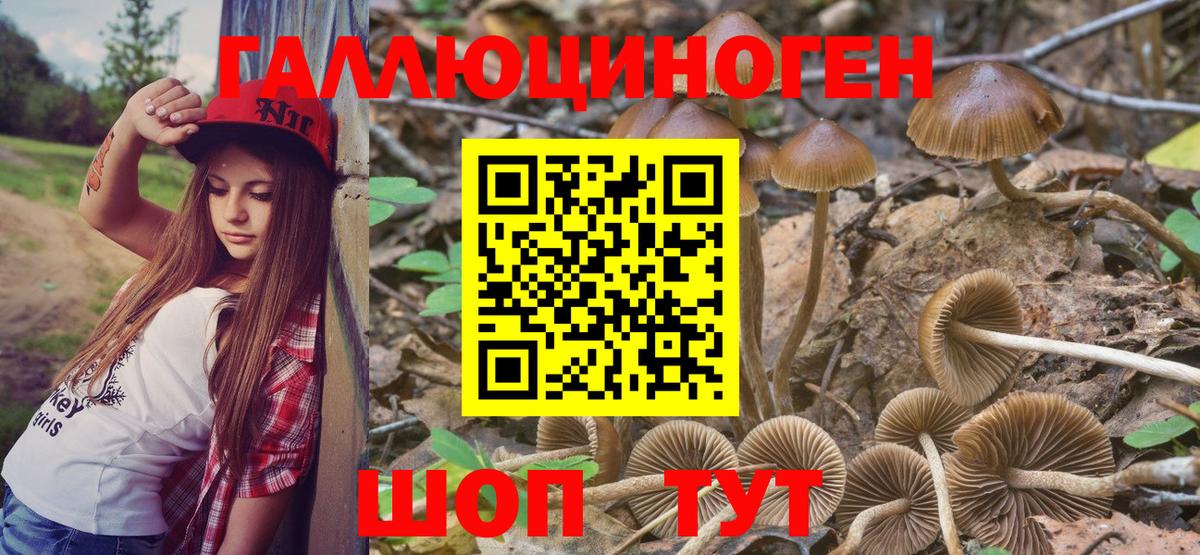 Псилоцибиновые грибы MAGIC MUSHROOMS  Вход с VPN  Россия 
