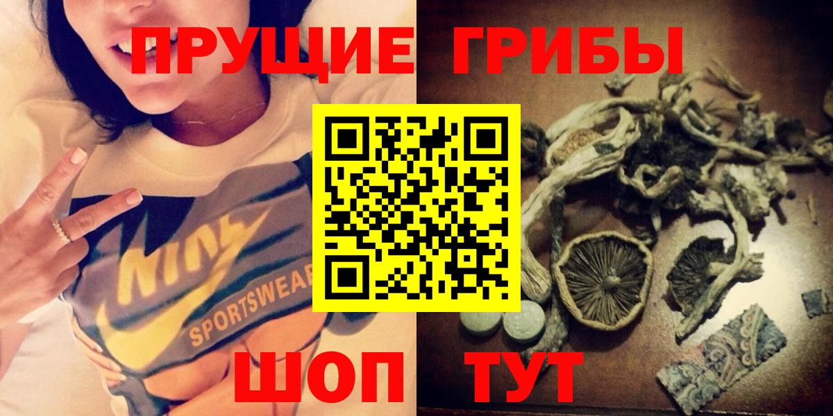 Псилоцибиновые грибы Cubensis  Вход с VPN  Россия 