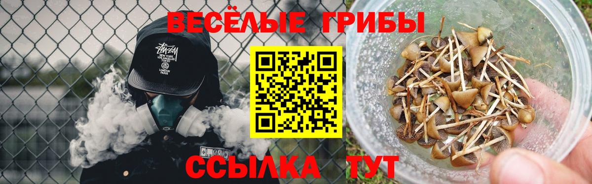 Псилоцибиновые грибы мицелий Россия